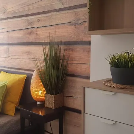 North * Jastrzębia Góra