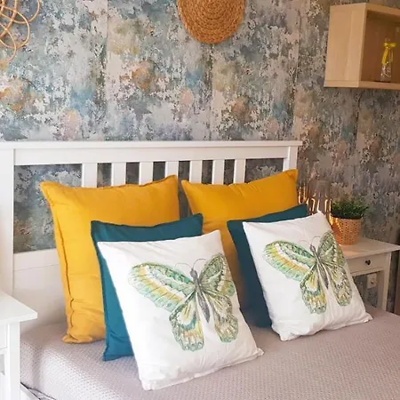 North * Jastrzębia Góra