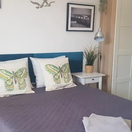 North * Jastrzębia Góra