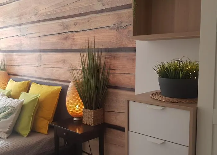 North * Jastrzębia Góra