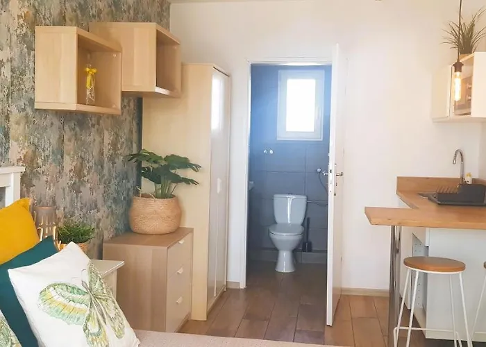 North * Jastrzębia Góra