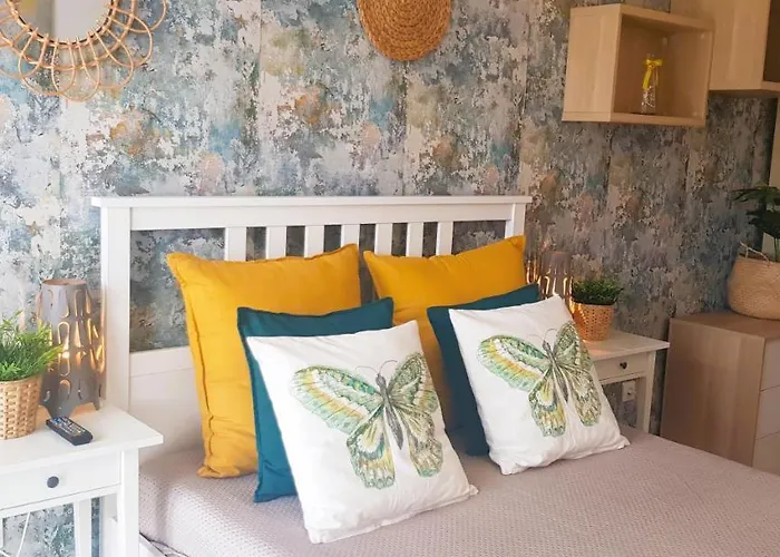 North * Jastrzębia Góra