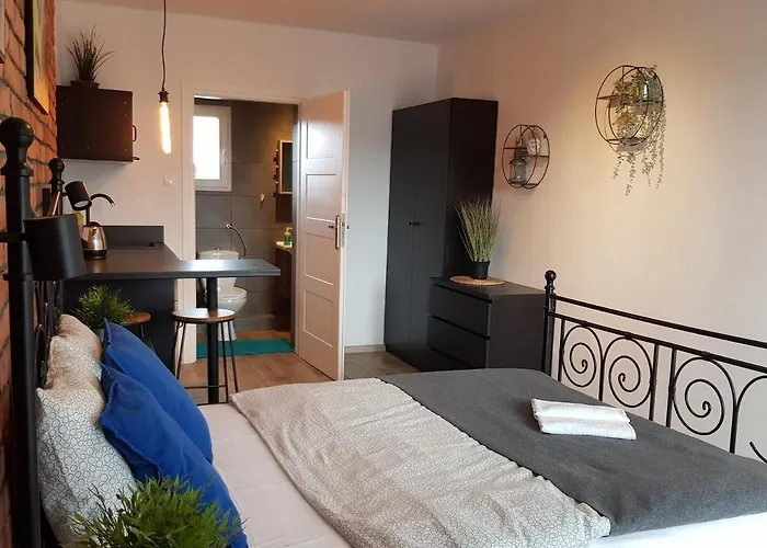 North * Jastrzębia Góra