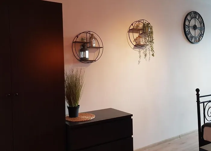 North * Jastrzębia Góra