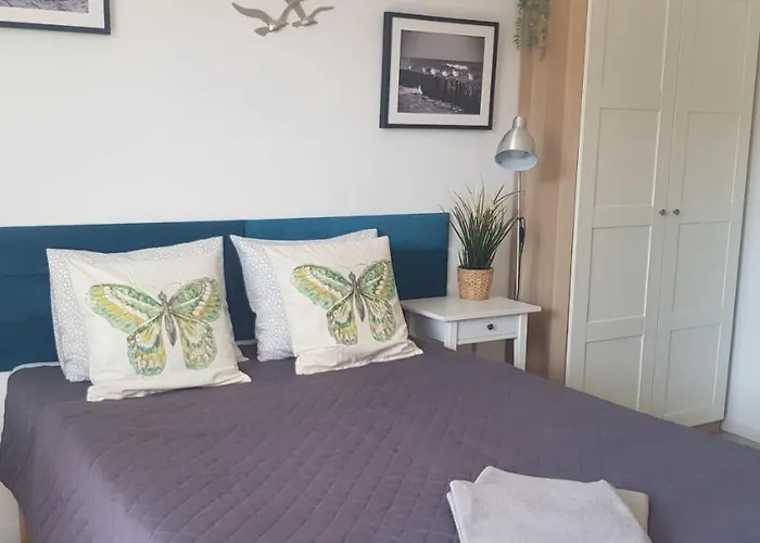 North * Jastrzębia Góra