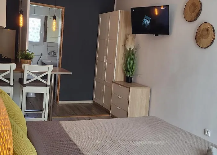 North * Jastrzębia Góra